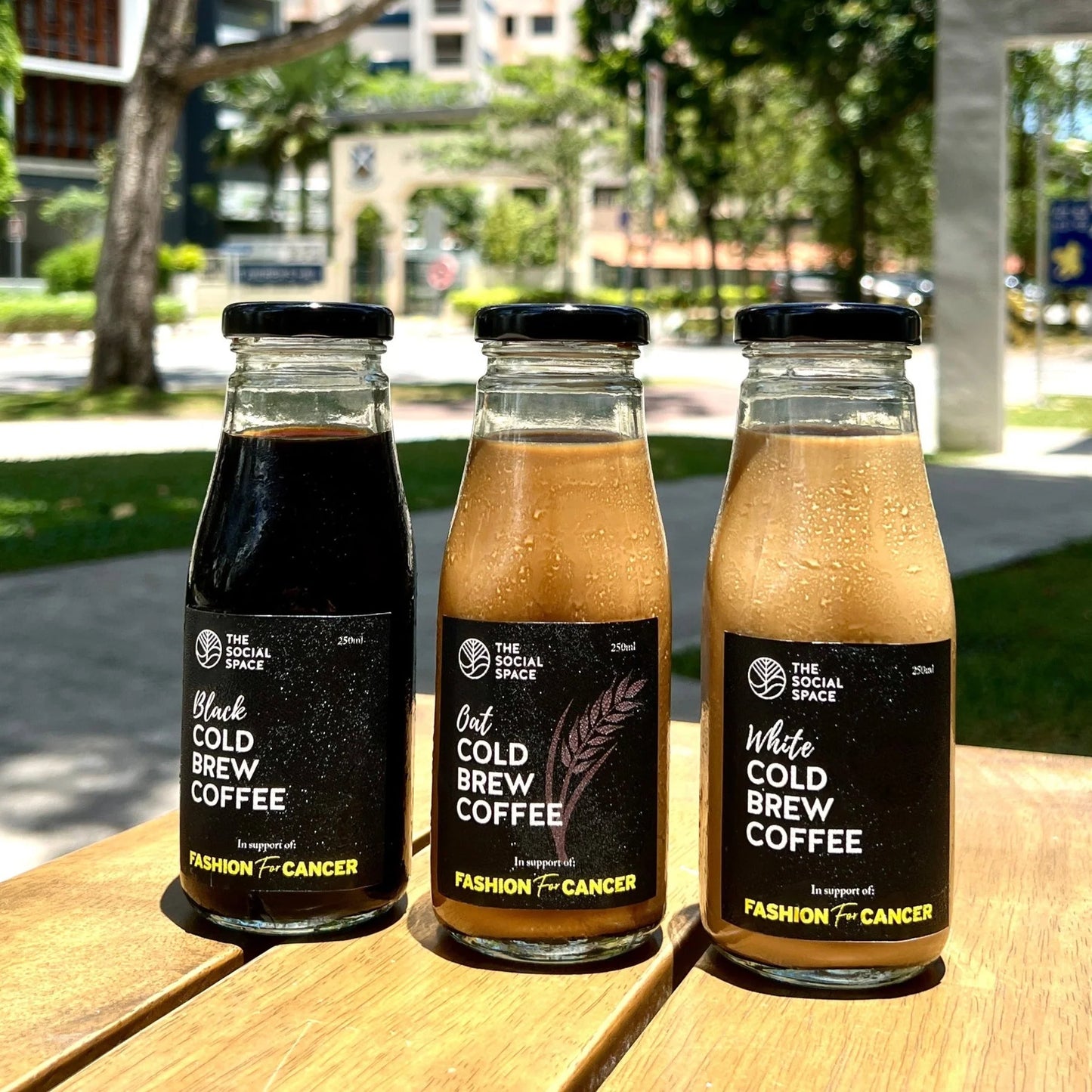 Oat Cold Brew Coffee (Bundle)